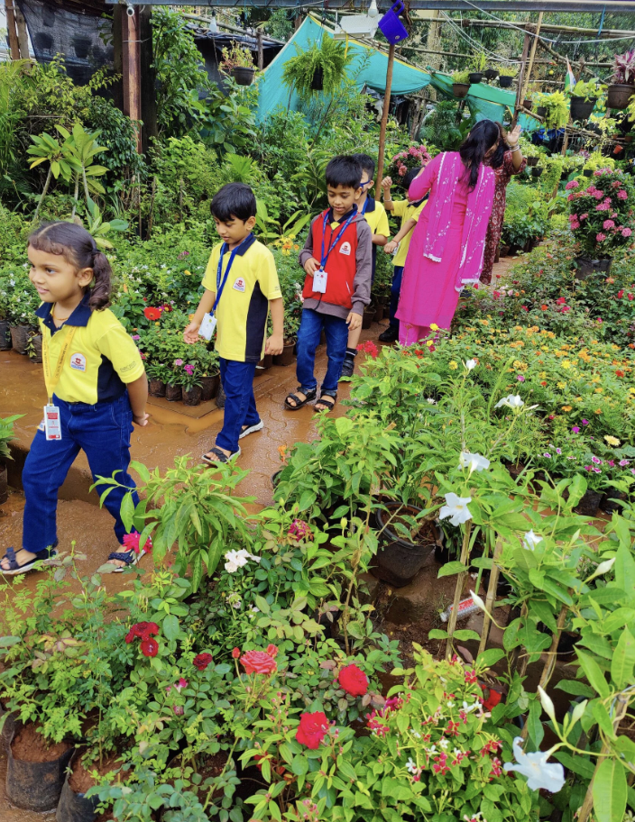 Mukesh Nursery garden