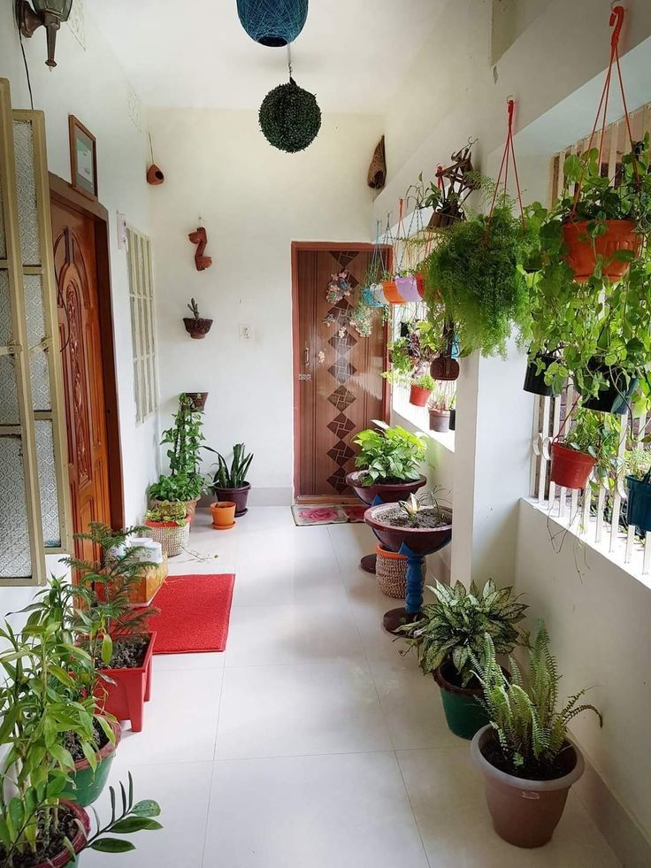 Indoor Plants