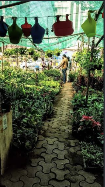 Expert gardening